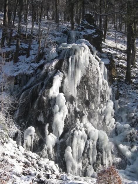 Ferienparadies Harz - Ihr Harz Reiseführer - Gastgeberverzeichnis, Tipps für Ausflugsziele, Sehenswürdigkeiten, Shopping, Gastronomie und Freizeit.