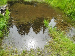 Ferienwohnung Waldwichtel in Braunlage Harz - Die Ferienwohnung in Braunlage im Harz - Komfortabel, günstig, Familienfreundlich und Kinderfreundlich. Ihre preiswerte Ferienwohnung in Braunlage / Harz.