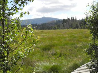 Ferienwohnung Waldwichtel in Braunlage Harz - Die Ferienwohnung in Braunlage im Harz - Komfortabel, günstig, Familienfreundlich und Kinderfreundlich. Ihre preiswerte Ferienwohnung in Braunlage / Harz.