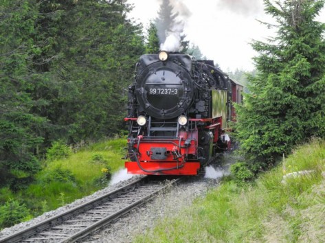Ferienparadies Harz - Ihr Harz Reiseführer - Gastgeberverzeichnis, Tipps für Ausflugsziele, Sehenswürdigkeiten, Shopping, Gastronomie und Freizeit.