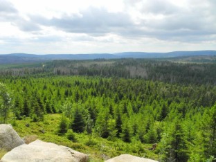 Ferienwohnung Waldwichtel in Braunlage Harz - Die Ferienwohnung in Braunlage im Harz - Komfortabel, günstig, Familienfreundlich und Kinderfreundlich. Ihre preiswerte Ferienwohnung in Braunlage / Harz.
