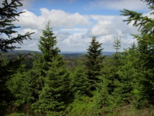 Ferienwohnung Waldwichtel in Braunlage Harz - Die Ferienwohnung in Braunlage im Harz - Komfortabel, günstig, Familienfreundlich und Kinderfreundlich. Ihre preiswerte Ferienwohnung in Braunlage / Harz.
