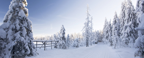 Ferienparadies-harz.de - Ihr Gastgeberverzeichnis für den Harz