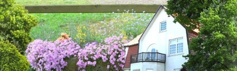 Ferienparadies Harz - Ihr Harz Reiseführer - Gastgeberverzeichnis, Tipps für Ausflugsziele, Sehenswürdigkeiten, Shopping, Gastronomie und Freizeit.